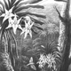 Image for article titled Darwin Predicted This Animal's Existence Decades Before Its Discovery